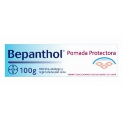 BEPANTHOL POMADA PROTECTORA 100 GR